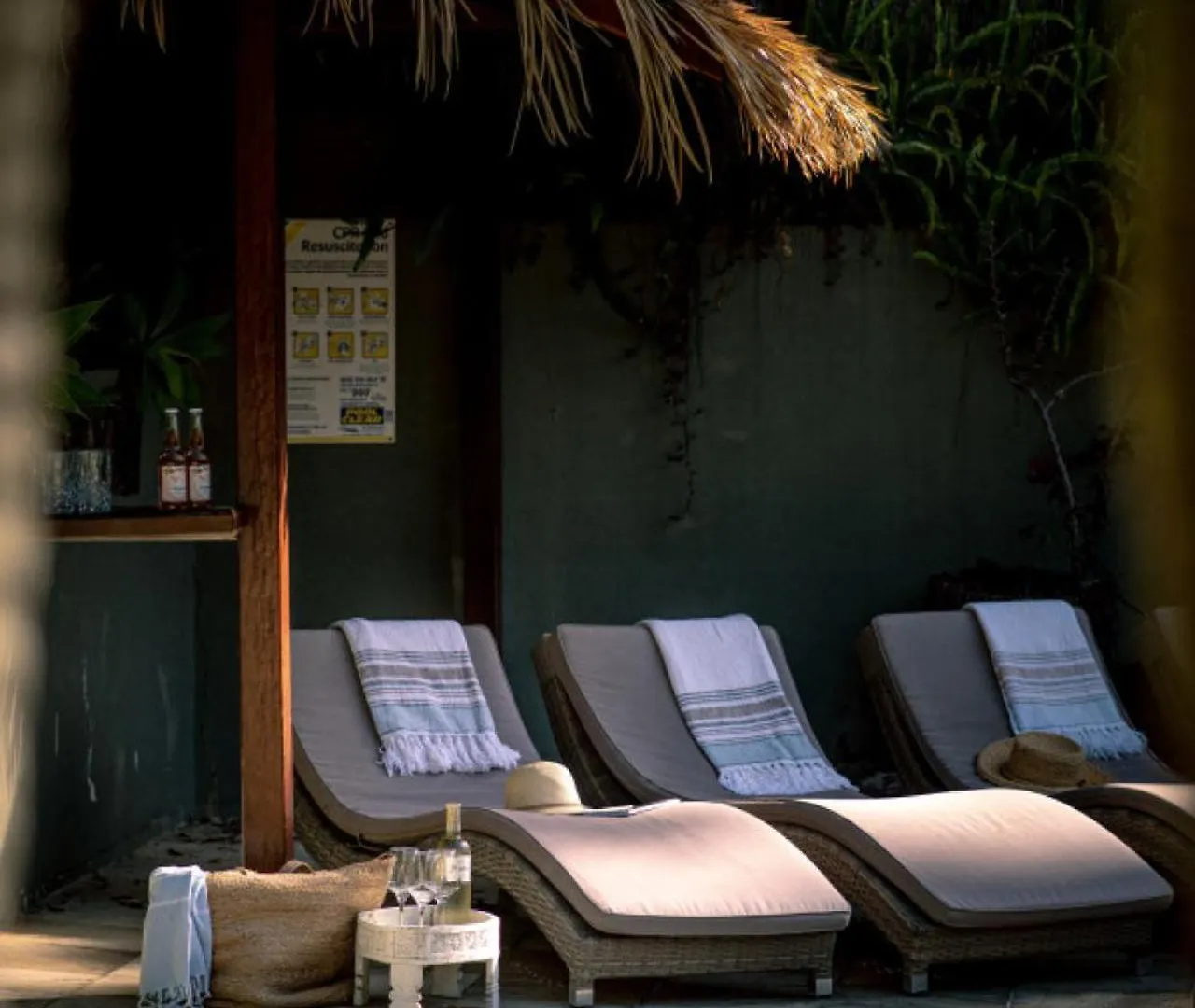 Cape Byron Suite 4 Private Room With Ensuite Byron Bay 0*,  Australia